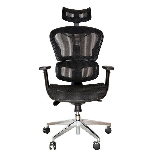 Ergohuman Plus Replica
