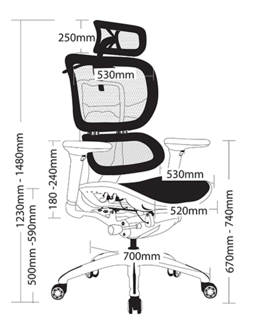 Ergo 1H Executive chair