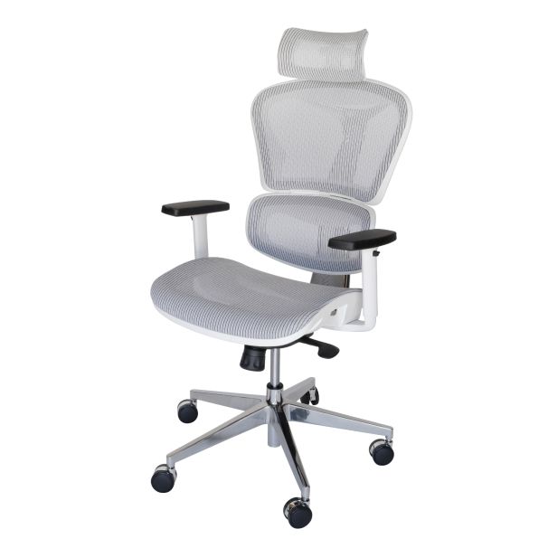 Ergohuman Plus Replica