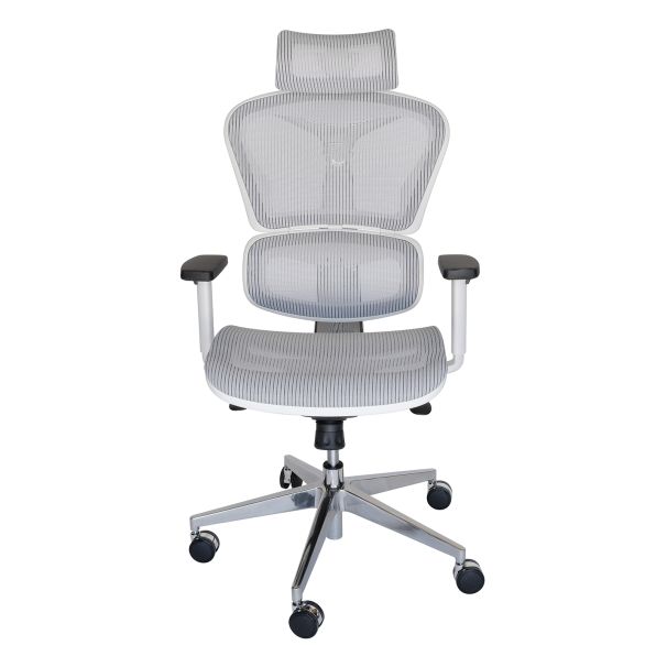 Ergohuman Plus Replica